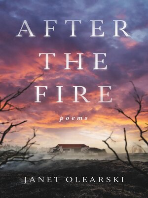 cover image of After the Fire